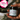 Femme Ease Vaginal Cream